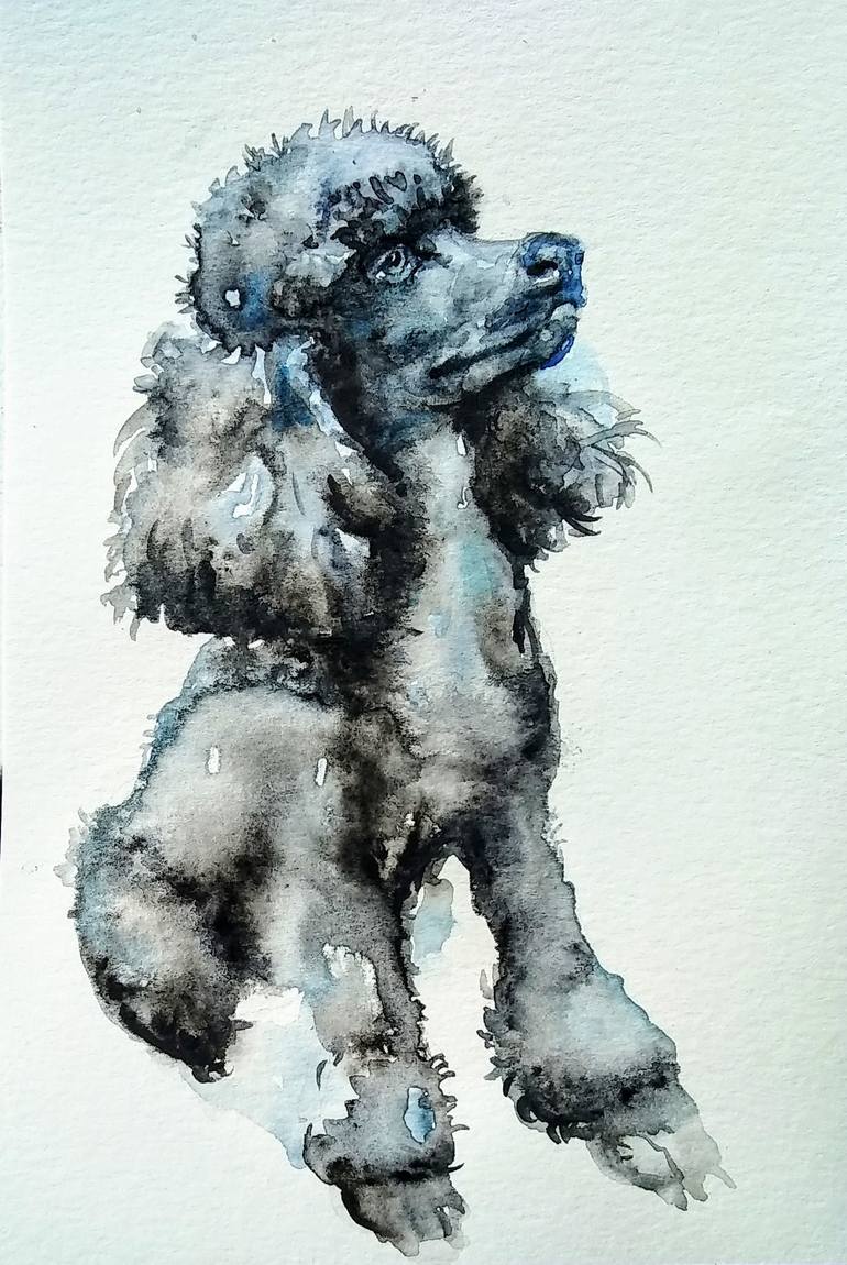 Black poodle Painting by Daniela Vasileva Saatchi Art