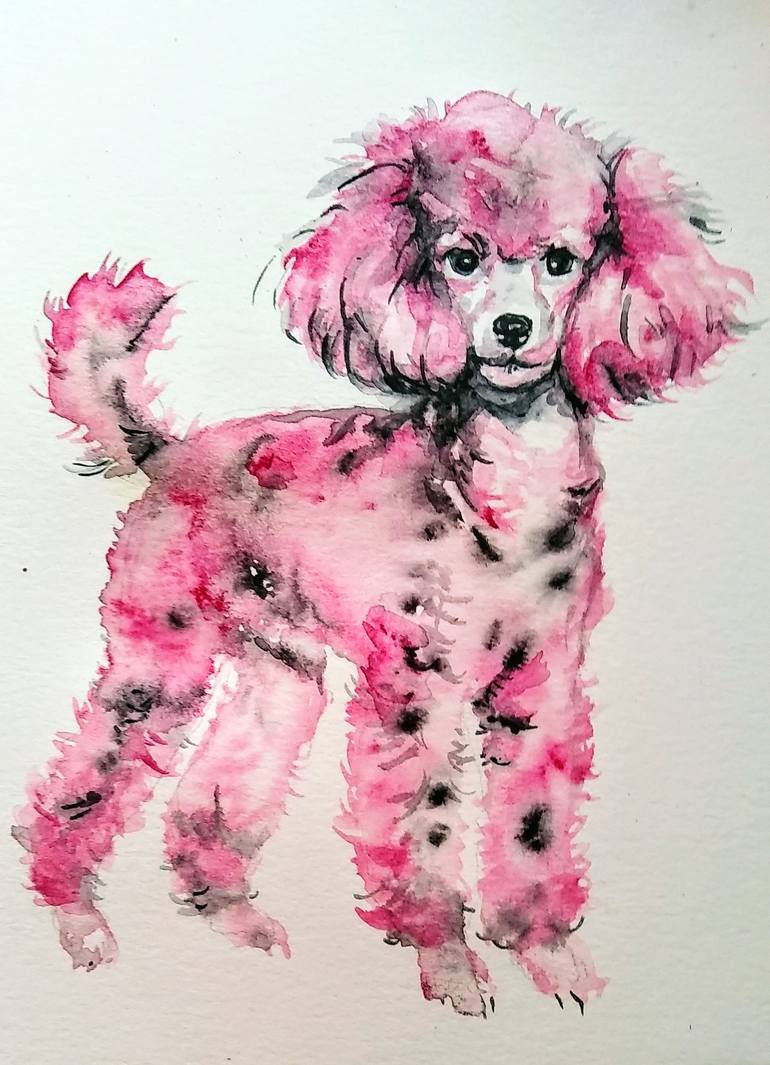 pink standard poodles