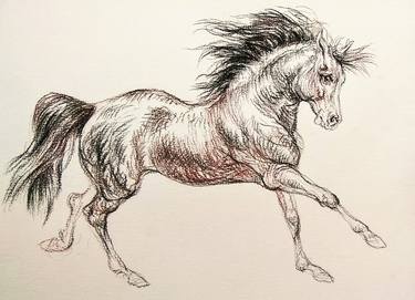 Print of Figurative Horse Drawings by Daniela Vasileva