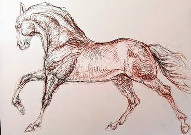 Print of Figurative Horse Paintings by Daniela Vasileva