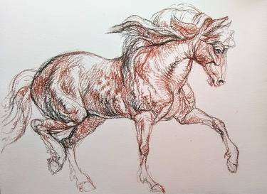 Print of Figurative Horse Drawings by Daniela Vasileva