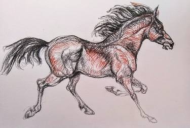 Print of Figurative Horse Drawings by Daniela Vasileva