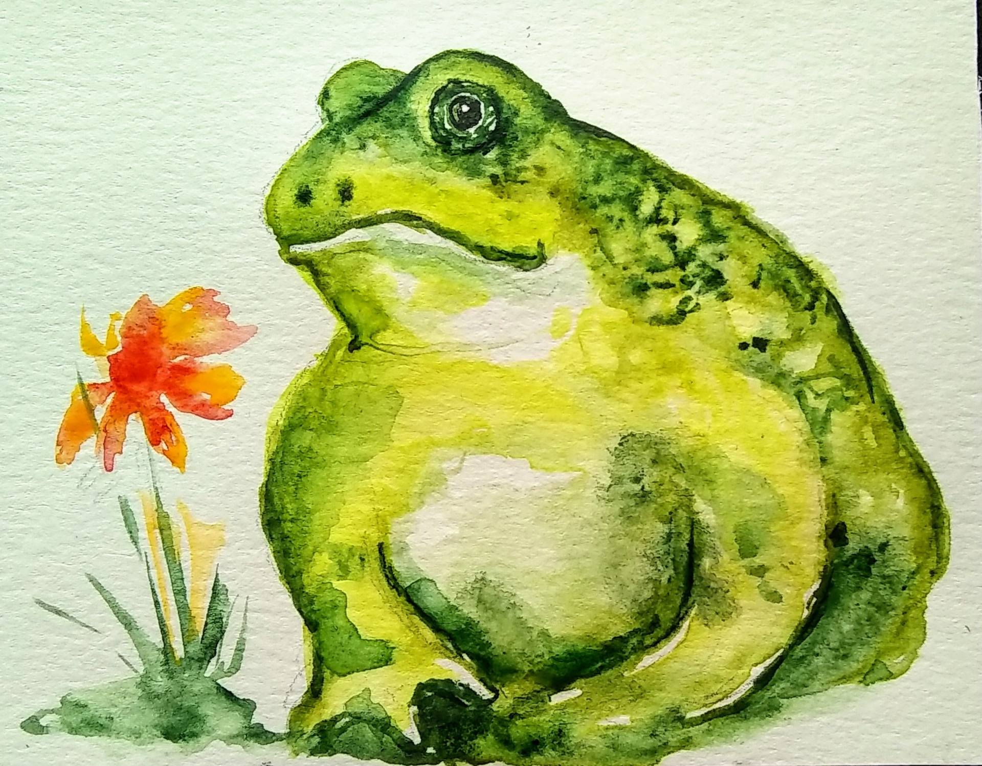 Garden frog Painting
