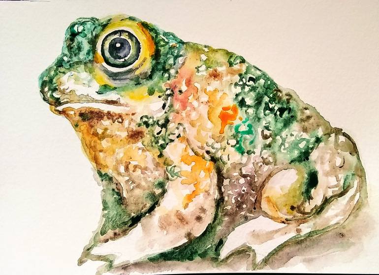Colorful frog Painting by Daniela Vasileva | Saatchi Art