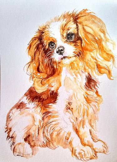 Cavalier King Charles spaniel puppy portrait thumb