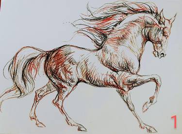 Original Figurative Horse Drawings by Daniela Vasileva