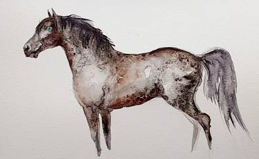 Print of Figurative Horse Paintings by Daniela Vasileva