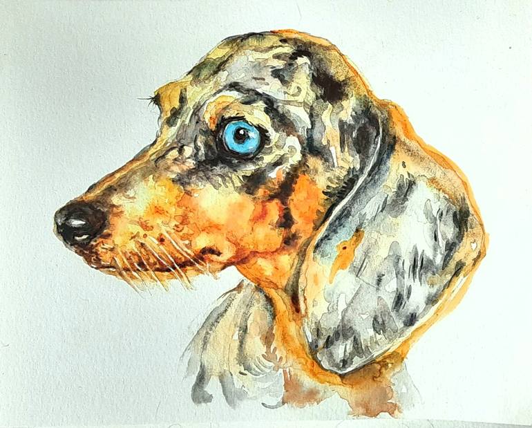 Merle dachshund dog Painting by Daniela Vasileva | Saatchi Art