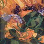 Collection Flowers