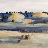 Collection Landscapes