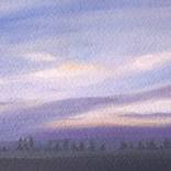 Collection Landscapes