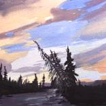 Collection Landscapes