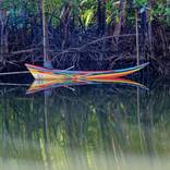 Thai Longtail Boat - Phang Nga by Roger Alan Lee