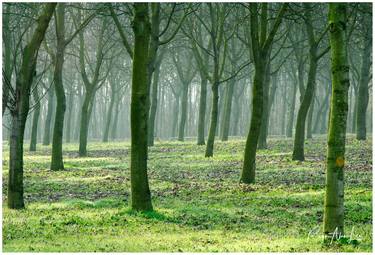 Print of Impressionism Nature Photography by Roger Alan Lee