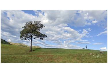 Lone Tree Contemplation thumb