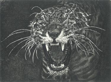 Print of Figurative Animal Printmaking by Matteo Germano