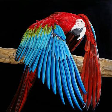 Original Figurative Animal Paintings by Matteo Germano