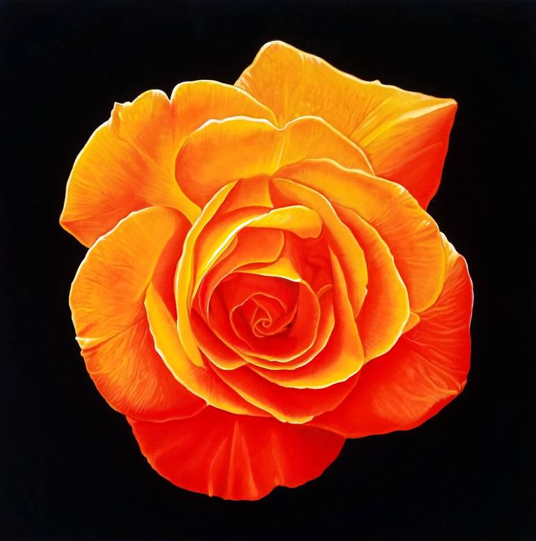 Image of Orange rose painting