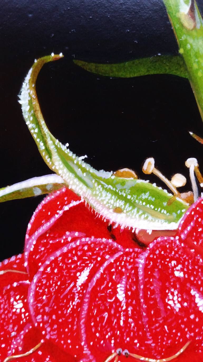 Original Figurative Still Life Painting by Matteo Germano