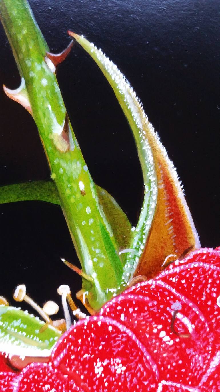 Original Figurative Still Life Painting by Matteo Germano