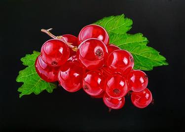 "RED CURRANT" thumb