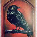 Crow by Tara Taheri