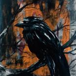 Early bird by Tara Taheri
