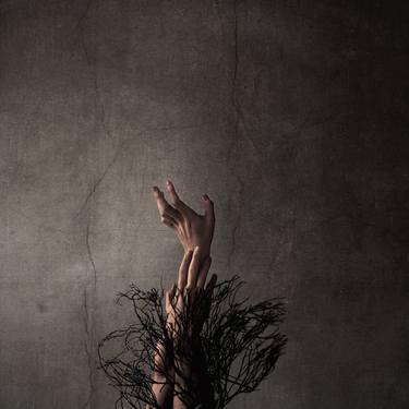Print of Conceptual Body Photography by Anja Matko