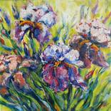 Irises by Galina Grygoruk