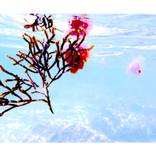 Under the sea 2 by Marta Caldas