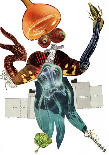 Original Classical mythology Collage by Thomas Nagel