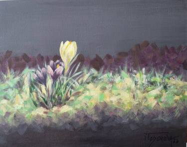 Original Abstract Floral Paintings by Iglika Todorova