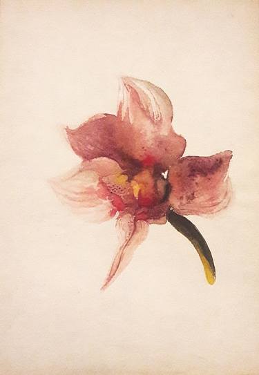 Original Floral Drawings by Viola Debel