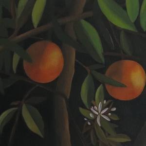 Night in the Orangegrove