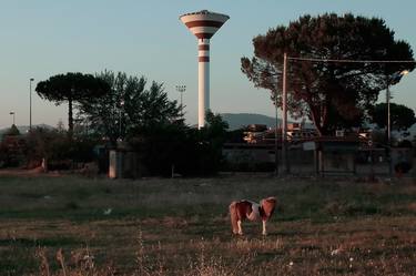 Original Surrealism Animal Photography by Giovanni Mancinelli