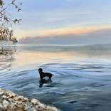Still Waters by Anna Afshar