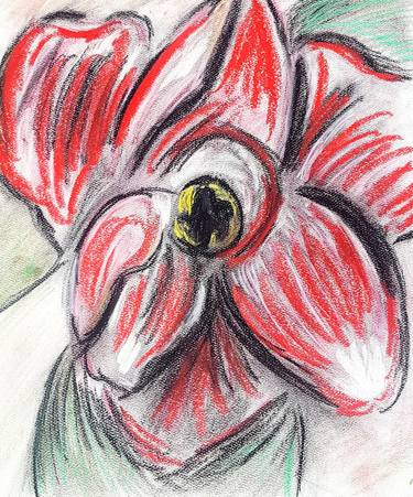 Print of Fine Art Floral Drawings by Eva Jones