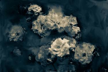 Print of Abstract Floral Photography by Becky J
