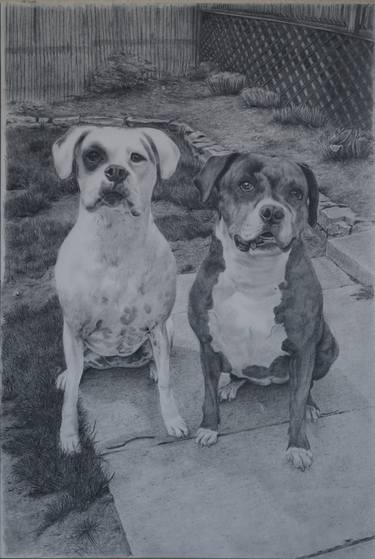 Print of Fine Art Dogs Drawings by Mahdi Rostami