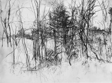 Original Landscape Drawing by Carol Heft