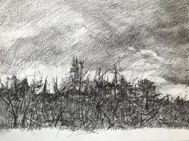 Original Black & White Landscape Drawing by Carol Heft