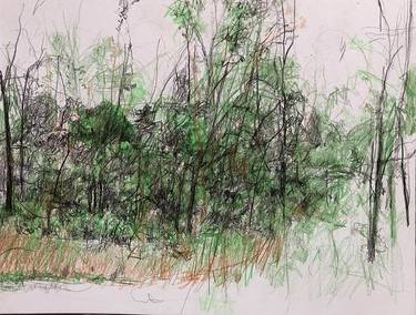 Original Classicism Landscape Drawing by Carol Heft