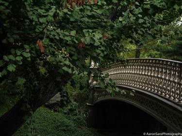 Central Park Bridge - Limited Edition 1 of 15 thumb