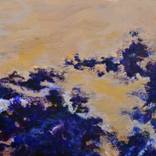 Collection New This Week 4-13-2015