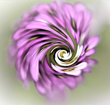 Print of Abstract Floral Photography by Tracey Lee Cassin