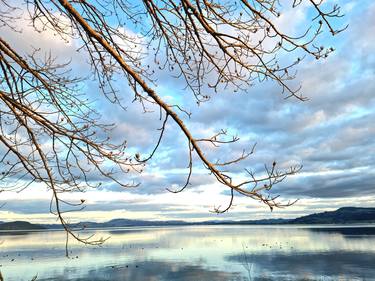 Saatchi Art Artist Tracey Lee Cassin; Photography, “Tree Lake View” #art
