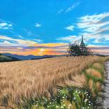 Wheat Field by Alexander Titorenkov