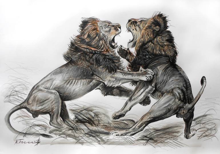Lions Fighting Drawing 1 Drawing By Alexander Titorenkov Saatchi Art Easy tips to pose your characters in a fight scene before adding in welcome to the tutorial to draw fighting poses. lions fighting drawing 1 drawing