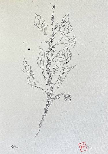 Print of Botanic Drawings by Nini Yūrei Ferrara