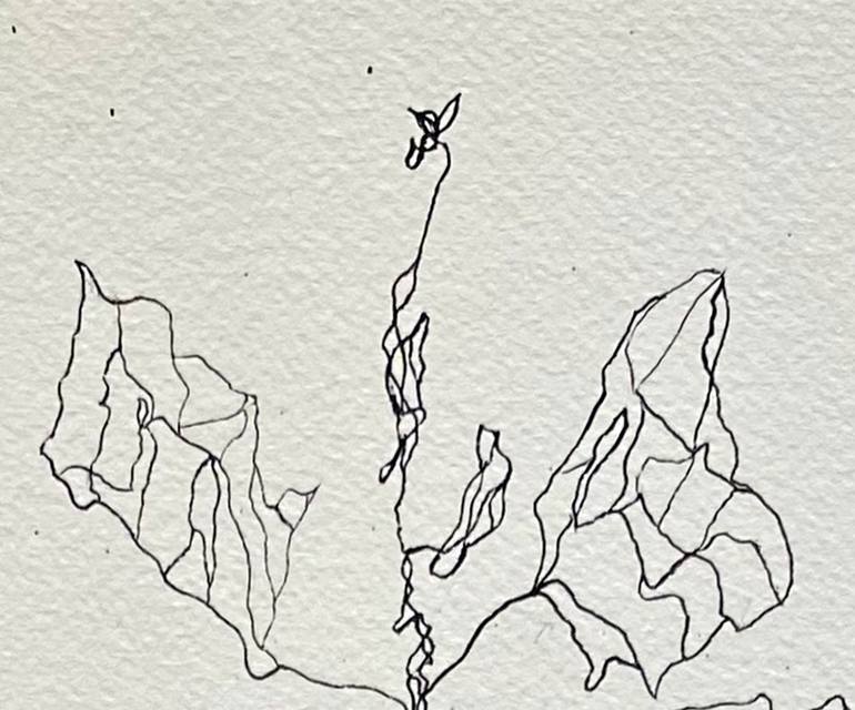 Original Abstract Botanic Drawing by Nini Yūrei Ferrara